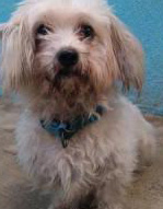 LUCA abandonado-3-Recortada